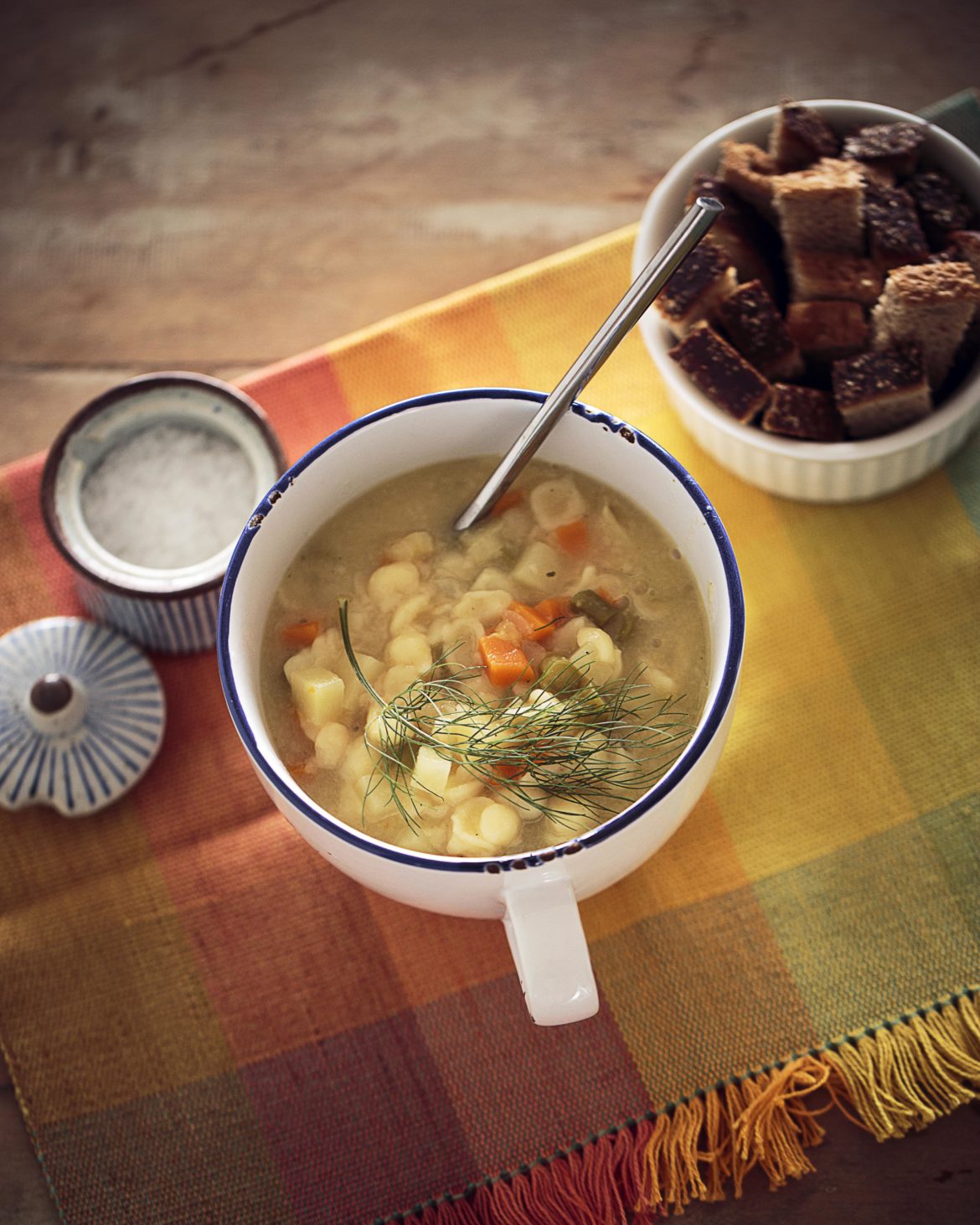 sopa de legumes