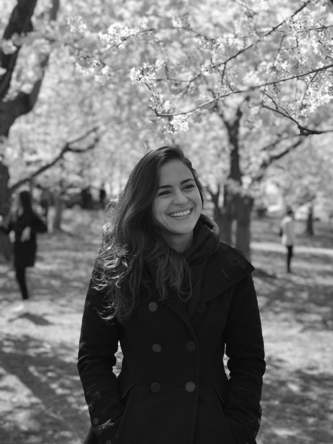 Quem somos nós – Camila Rodrigues