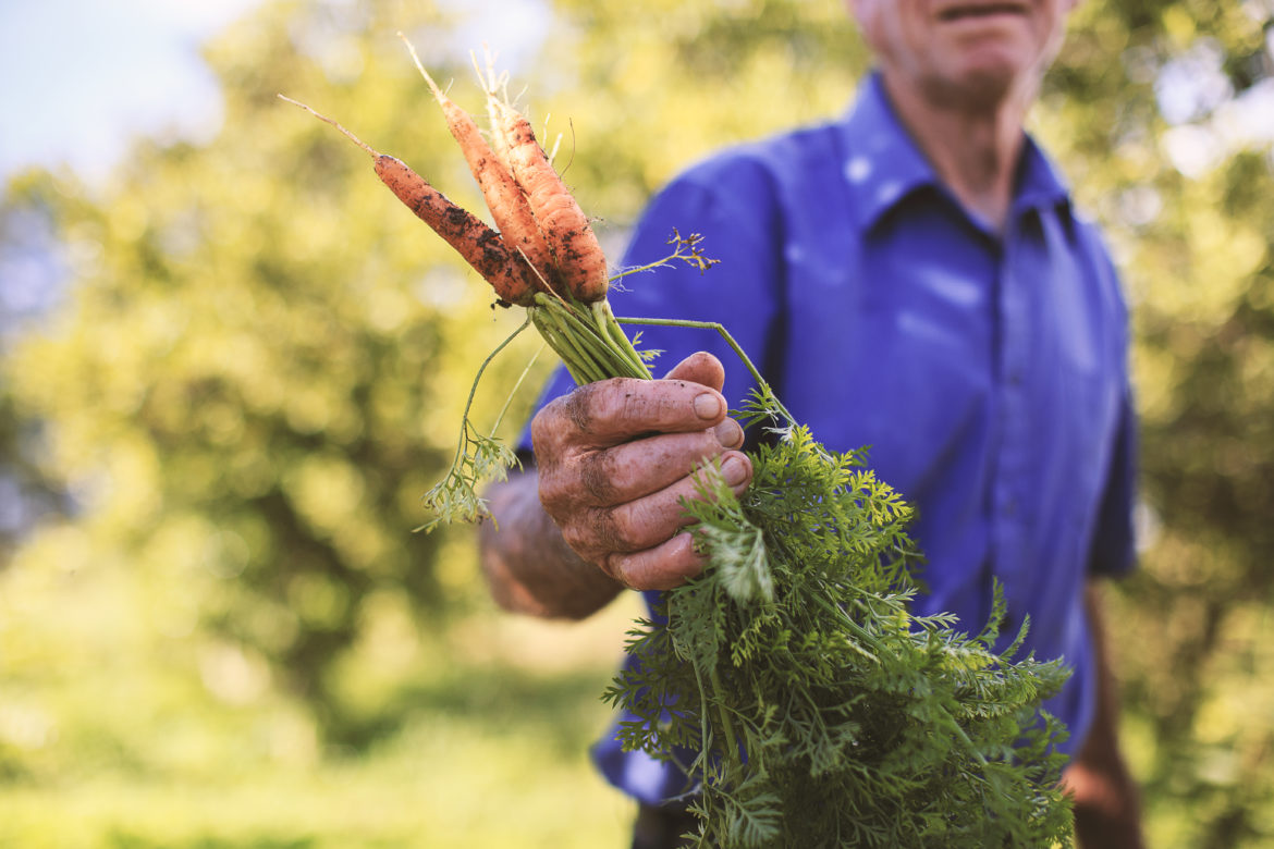 Agrotóxicos, porque é tão importante se engajar
