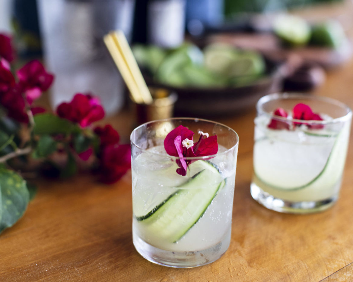 gin com gengibre e pepino